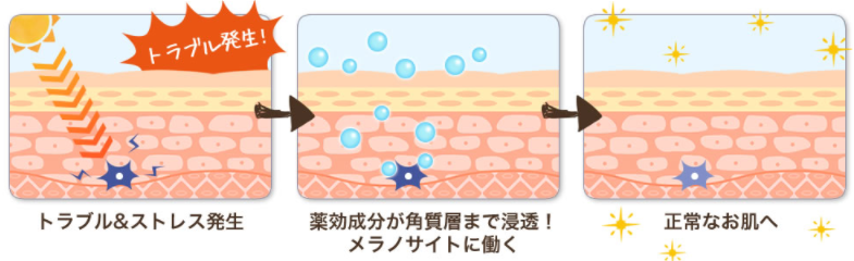 透明感のある素肌へ